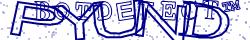 Retype the CAPTCHA code from the image