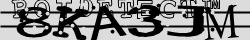 Retype the CAPTCHA code from the image