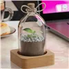 تراریوم کوچک شیشه‌ای با استند چوبی