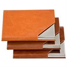 جاکارتی لوکس