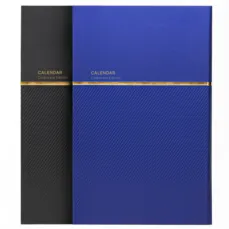 سررسید اروپایی 311