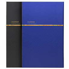 سررسید اروپایی 311