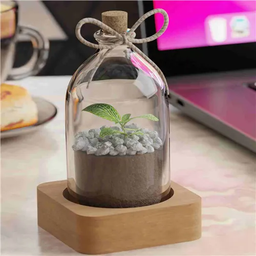 WFT-9901 - تراریوم کوچک شیشه‌ای با استند چوبی