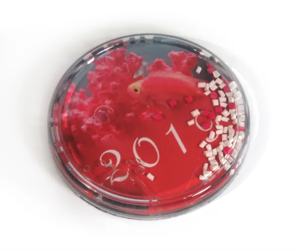 ZLK - زیرلیوانی